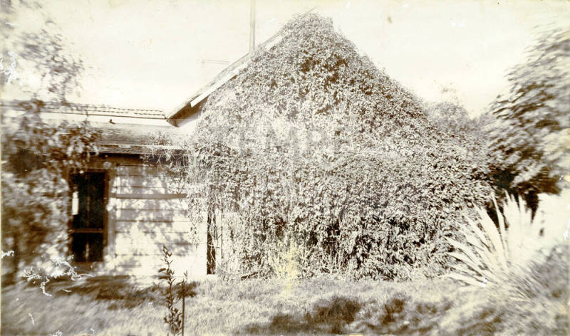 Exterior photo of the back of Dr. Fenn J Hart's Tempe home