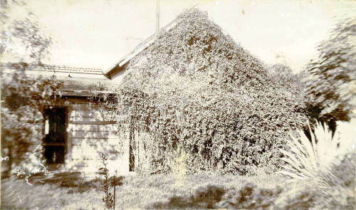 Exterior photo of the back of Dr. Fenn J Hart's Tempe home