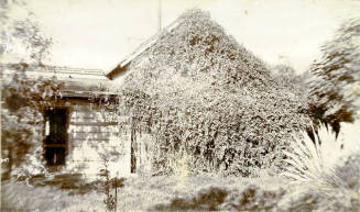Exterior photo of the back of Dr. Fenn J Hart's Tempe home