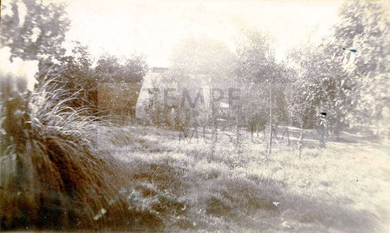 Exterior photo of the side yard of Dr. Fenn J Hart's Tempe home