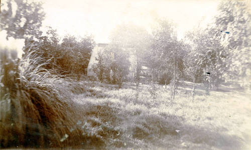 Exterior photo of the side yard of Dr. Fenn J Hart's Tempe home