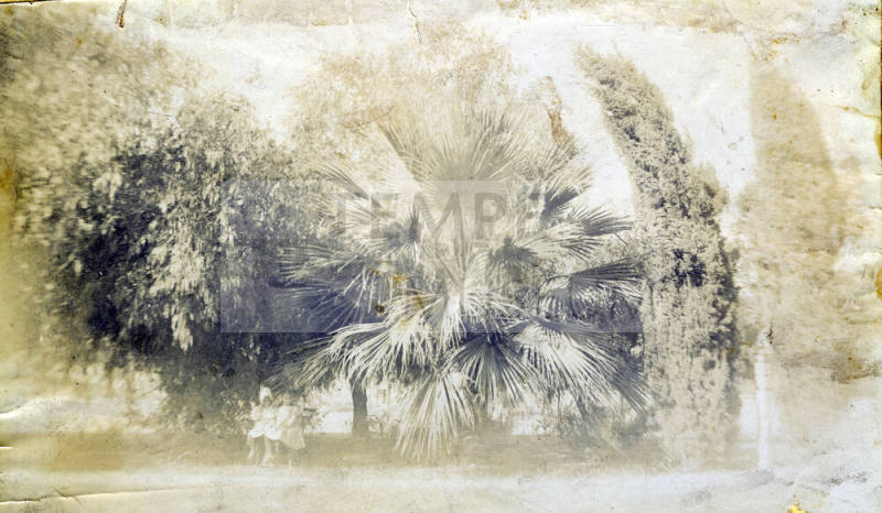 Outdoor photo of young Mildred Hart with Jessie Dickinson in Tempe