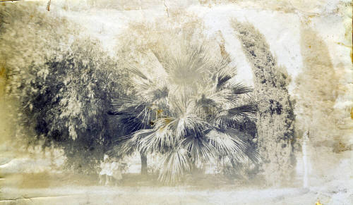 Outdoor photo of young Mildred Hart with Jessie Dickinson in Tempe