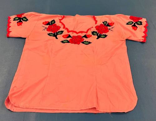 Skirt and Two Blouses