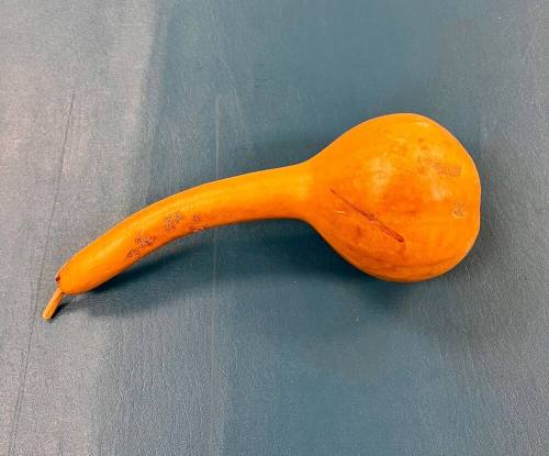 Gourd