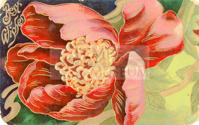 Postcard- Best Wishes