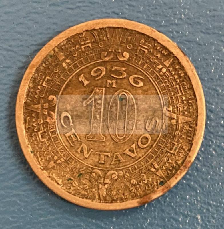 Coins