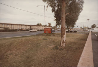 Tijuana Tilly's - 1123 West Broadway Road, Tempe, Arizona