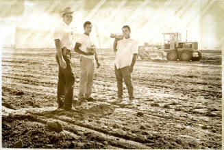 Workmen - New Tempe Library Site