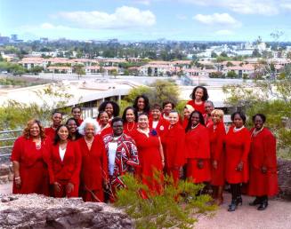 2023 City of Tempe Diversity Award Winner Tempe Alumnae Chapter Delta Sigma Theta Sorority