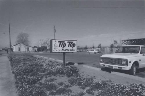 Tip Top Nurseries - 1980 East Broadway Road, Tempe, Arizona