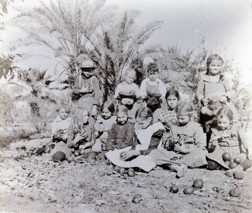 Twelve Children Holding Oranges