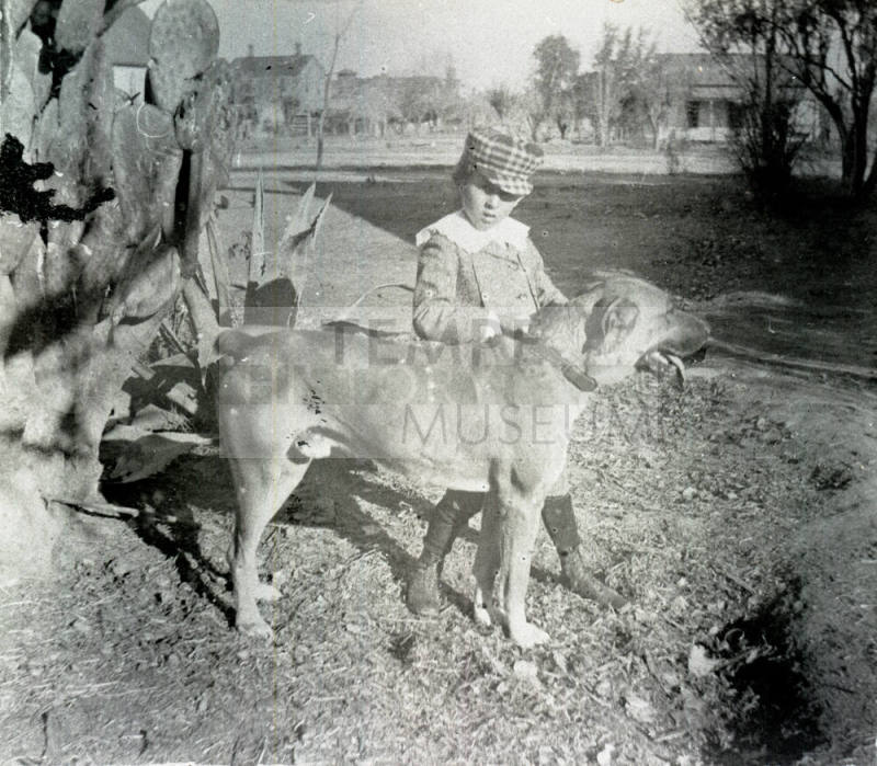 Young child standing with a dog outside