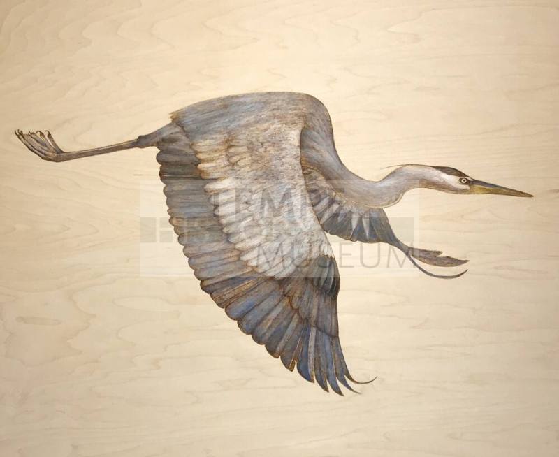 Great Blue Heron III