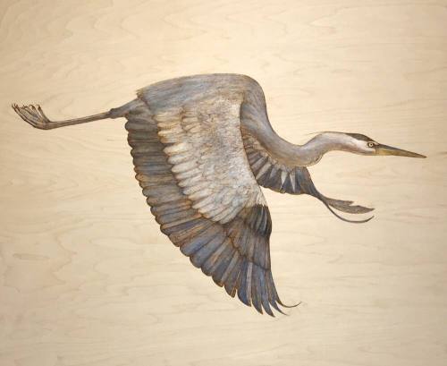 Great Blue Heron III