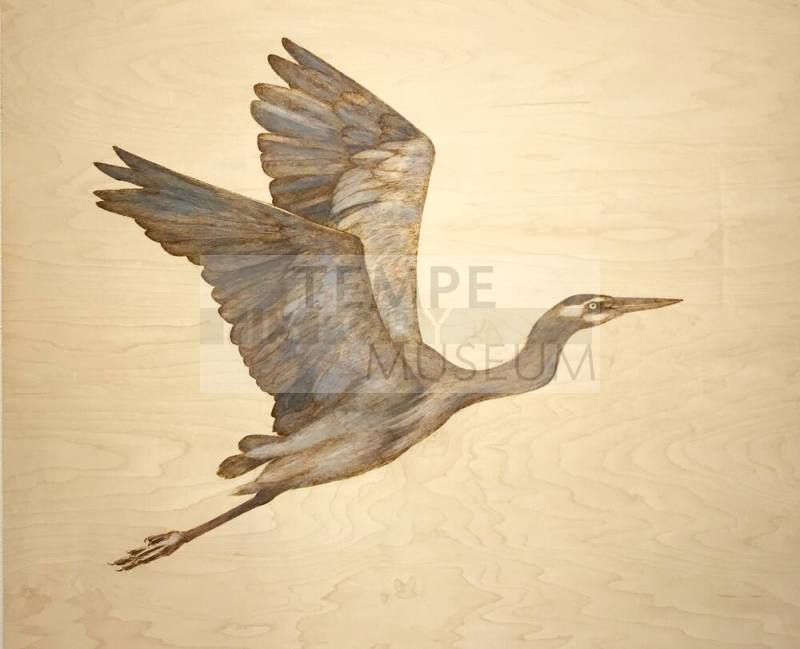 Great Blue Heron II