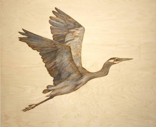 Great Blue Heron II