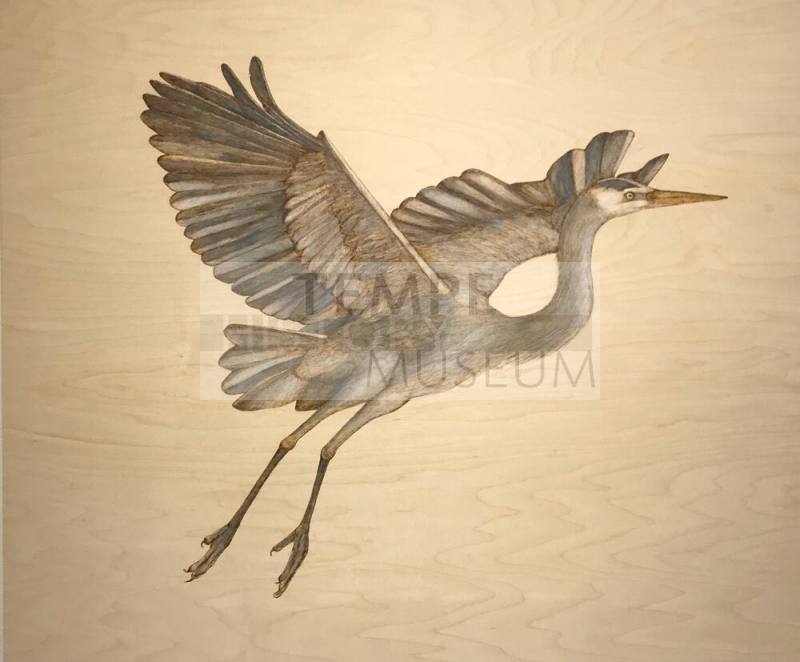 Great Blue Heron I