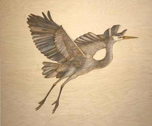 Great Blue Heron I
