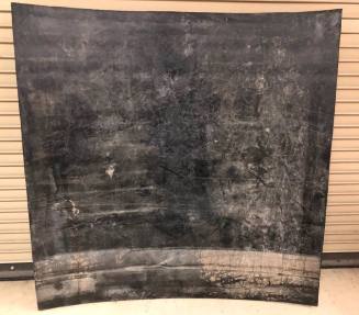 Piece of rubber from west Town Lake dam