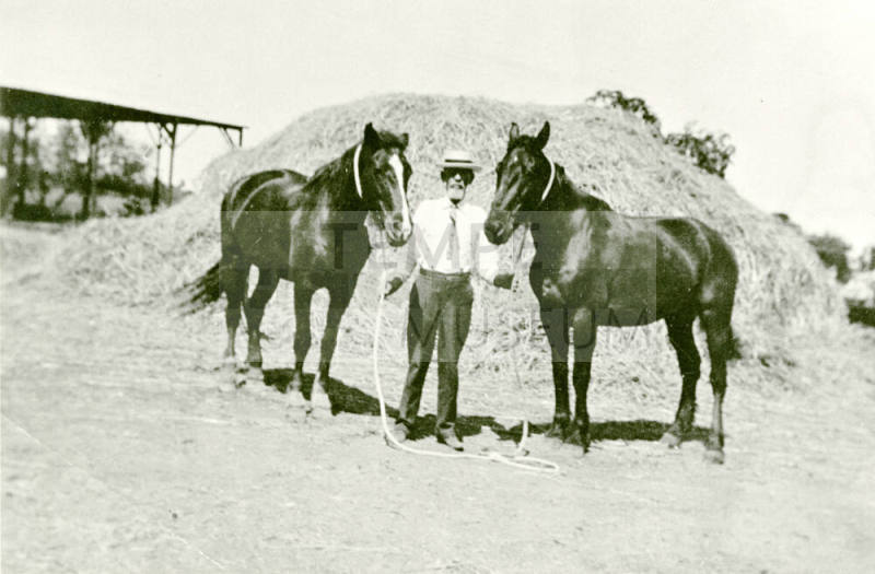 Niels Petersen with his Horses on Petersen property