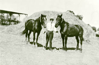 Niels Petersen with his Horses on Petersen property
