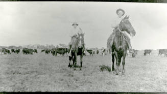 Two men ride horses with cows on Petersen property