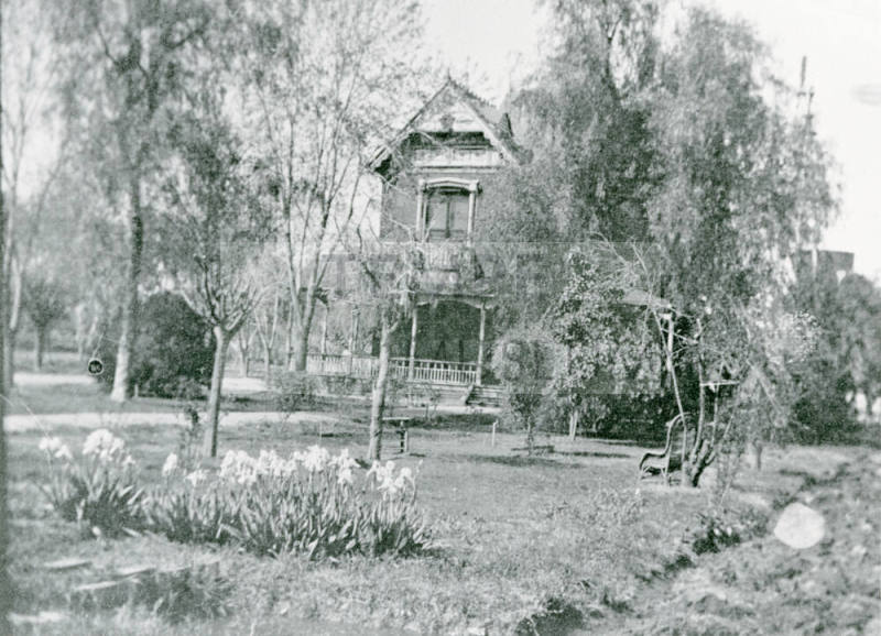 The Petersen house covered by trees