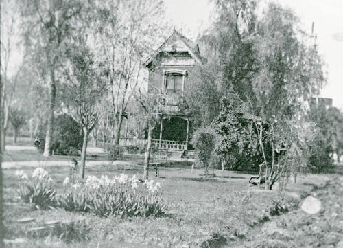 The Petersen house covered by trees