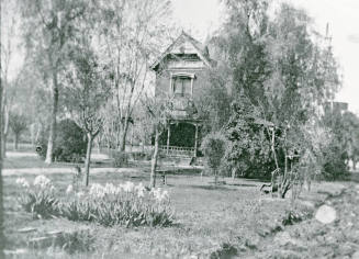 The Petersen house covered by trees