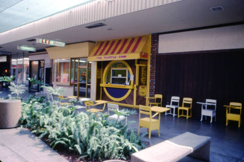 The Purple Cow Ice Cream Shop