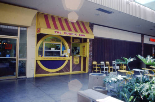 The Purple Cow Ice Cream Shop