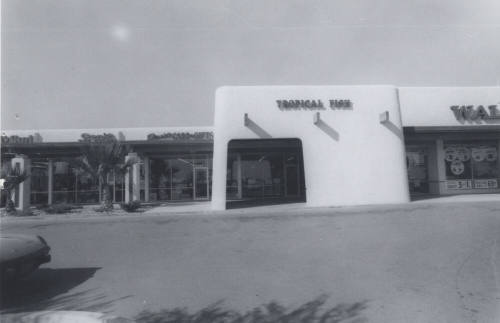 David's Cards & Gifts - 6430 South McClintock Drive, Tempe, Arizona