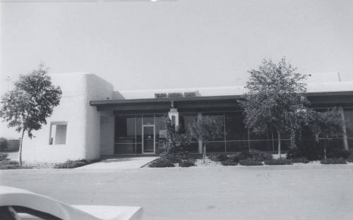 Tempe Animal Clinic - 6464  South McClintock Drive, Tempe, Arizona
