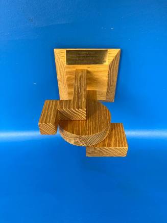 Tempe Visual Enhancement Awards