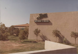 Donny O'Brien's - 216 South Mill Avenue, Tempe, Arizona