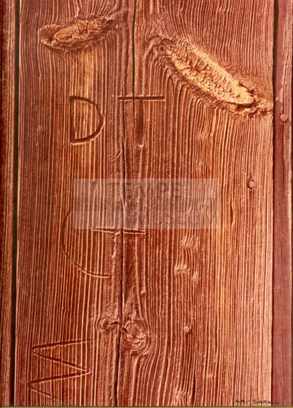 DT Brand