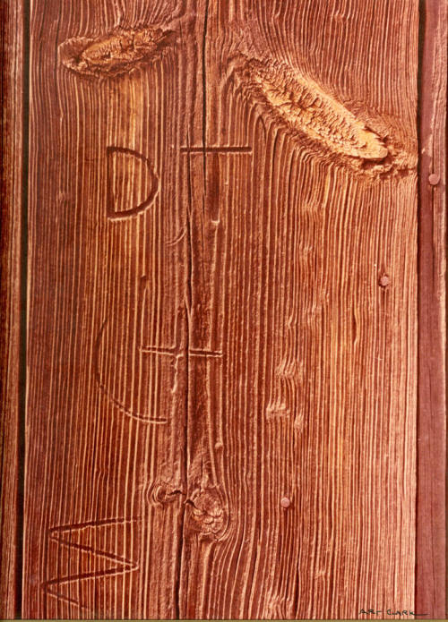 DT Brand