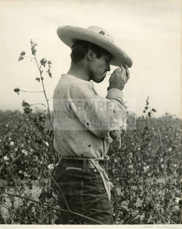 Cotton Farmer smoking