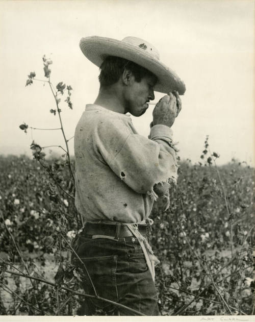 Cotton Farmer smoking