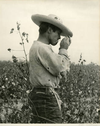 Cotton Farmer smoking