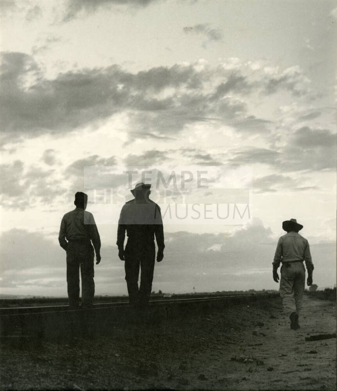 3 Cotton Workers at sunrise or sunset