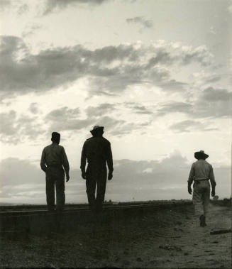 3 Cotton Workers at sunrise or sunset