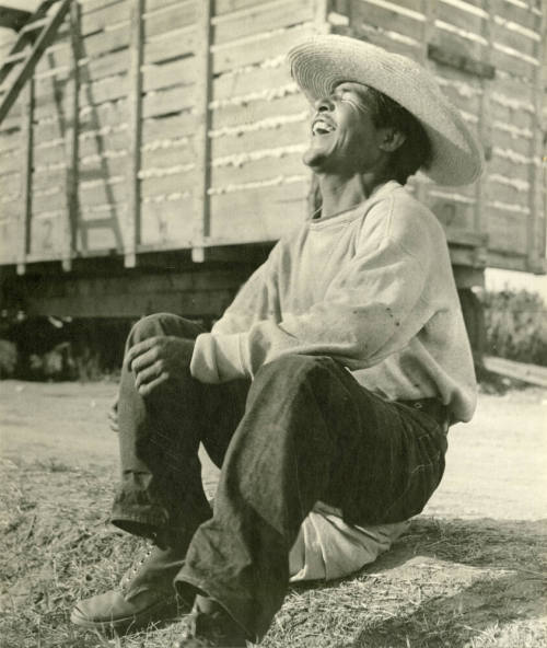 Laughing cotton farmer