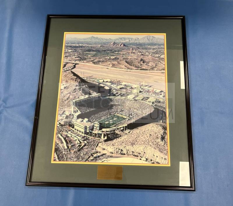 Super Bowl XXX, Tempe Arizona