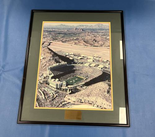 Super Bowl XXX, Tempe Arizona