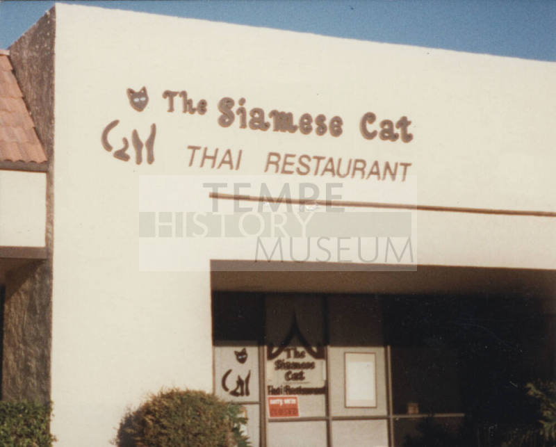 The Siamese Cat Thai Restaurant - 5034 South Price Road, Tempe, Arizona