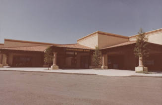 Hardwick's Records & Wigs - 1425 West Southern Avenue, Tempe, Arizona