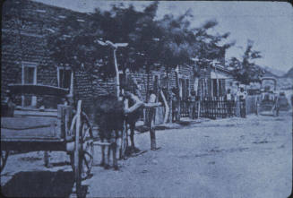 La Casa Vieja - OS 7