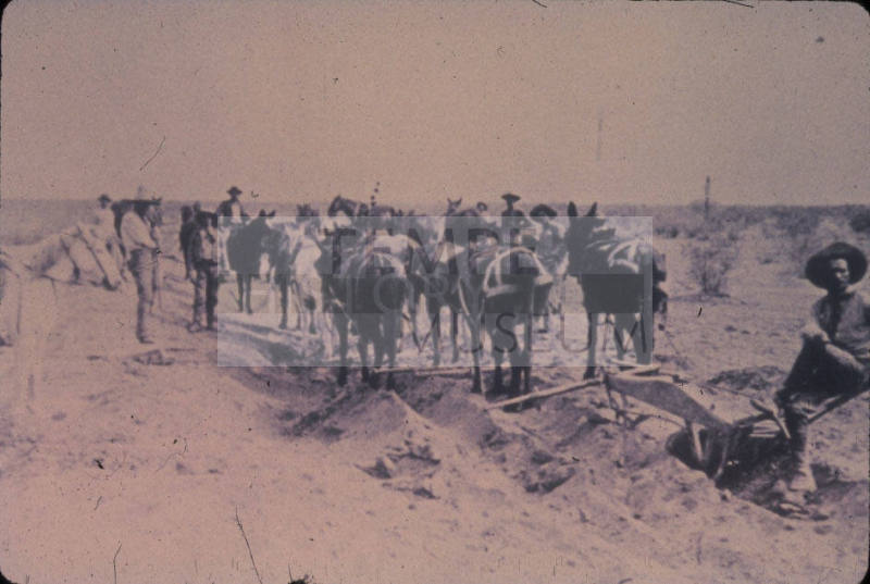 Digging Irrigation Ditch Near Tempe